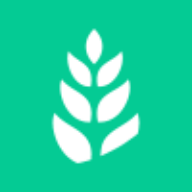 新青鸟影视去广告纯净版